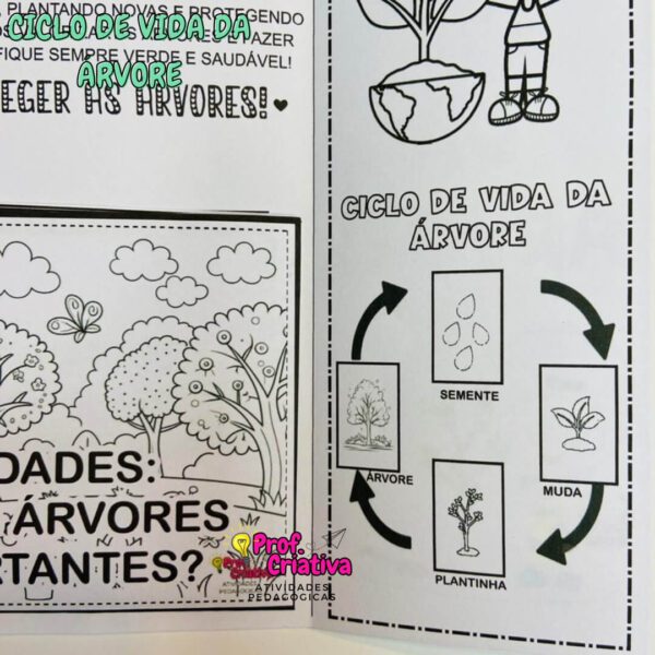 LAPBOOK - DIA DA ÁRVORE - Image 5