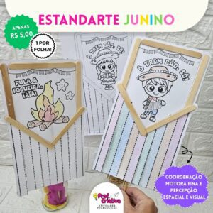ESTANDARTE JUNINO