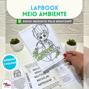 LAPBOOK - MEIO AMBIENTE